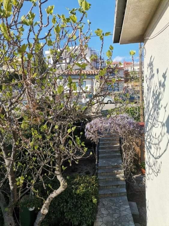 Guest House Sunce Novi Vinodolski Exterior photo