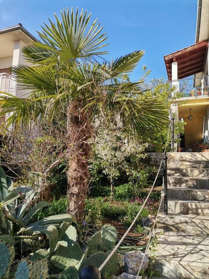 Guest House Sunce Novi Vinodolski Exterior photo